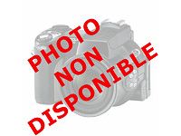 Conso Imprimante Epson Toner C1100 S050190 Noir