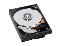 320Go 7200tr 8Mo SATA II WD3200AVJS