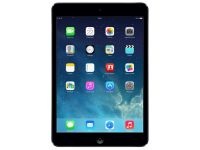 iPad Mini 16Go WiFi Gris Sidéral (Noir)